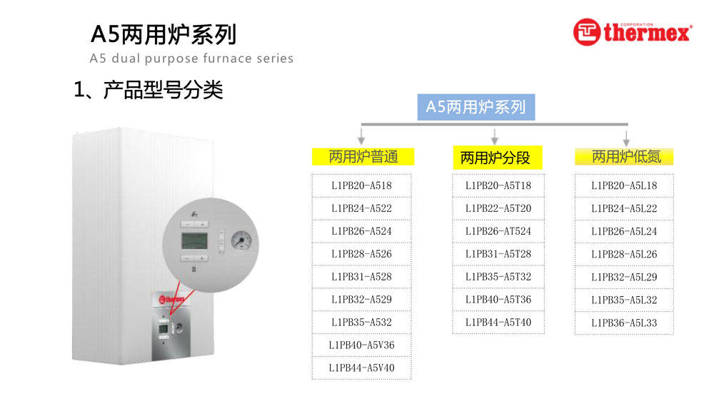 泰美斯壁掛爐A5系列_1.jpg